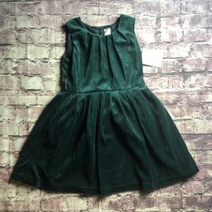 carters green velvet dress